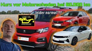 Opel, Peugeot, Citroen | Öldruckprobleme durch Zahnriemen | Puretech 1,2 VTI | P15A1:21