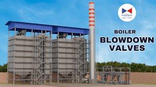 Boiler Blowdown Valves in Action: See why they are essential and how do they work