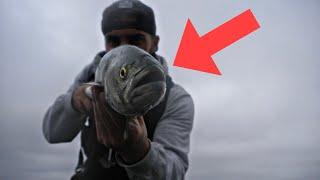 the Fall Run is HERE!// Bluefish and Flounder(Bunker getting Massacred!)// NJ September Fishing 2024