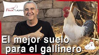 ¿Cuál es la mejor CAMA para las GALLINAS? 