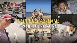 DOG VLOG: ВСЁ ПОШЛО НЕ ПО ПЛАНУ!!! | Кременчуг и наши НЕПРЕДСКАЗУЕМЫЕ ВЫХОДНЫЕ