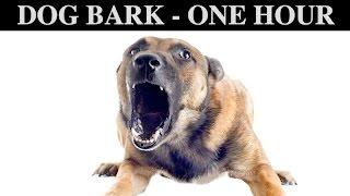 Sound Effects Of Dog Barking | ONE HOUR | BARK | GROWLING | CRY | PUPPY | WHINING | HQ