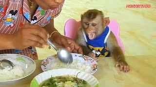 Adorable Monkey Kako Crying Loudly Can't Wait Mom Feed Him