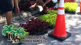 Flower Bed Design and Installation from D S  Landscape & Maintenance of Orlando