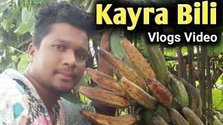 Hmlog Ka Kela Bagan // New Santhali Vlogs Video // Devraj Soren