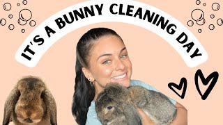 It’s A Bunny Cleaning Day! (Gag warning LOL)