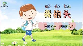 学习我的头（五官）| Learn face parts in Chinese | 中文加油站