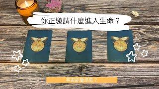 艸艸占卜你正邀請什麼進入生命？感情/工作/ 生活經歷 | Tarot | Pick a card（無時間限制）