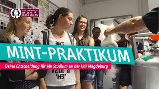 MINT-Praktikum an der Otto-von-Guericke-Universität Magdeburg | OVGU