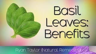 Basil Leaves: Benefits and Uses