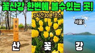 [서울] 서울식물원→궁산→한강 전망대 | 5km 1시간30분 트레킹 | 서울가볼만한곳 | 겸재정선미술관 | 궁산땅굴 | 트레킹코스추천 | 대중교통 당일치기 여행 | 도보여행