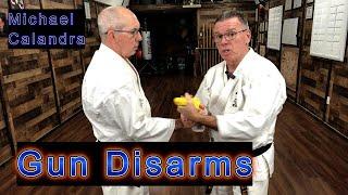 "Gun Disarms" Self-Defense Michael Calandra