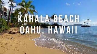  Kahala Beach Park & Resort with Dolphins beach walk, Oahu, Hawaii, 4K  #hawaiiwalk #hawaii