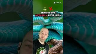 Cool snake fact