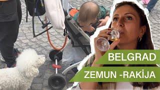 Belgrad - 4 Buraya KESİN gidin! ZEMUN