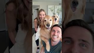 Family selfie with dogs and a baby!