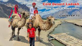 लद्दाख के ठंडे रेगिस्तान में ऊँट मिल गया  Nubra valley sand dunes to durbuk syok Ladakh EP-13