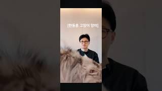 '양이'에 숙련된 밀당에 속수무책으로 당하는 고양이 집사 한동훈