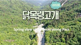 [Drone View] 강릉 닭목령고개 봄풍경 드론영상 기록 1080FHD [Spring view record of Dakmokryeong Pass by Mavic2 Drone]