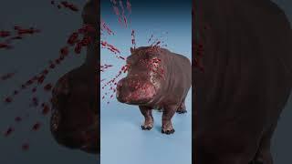 Bullet Effect On Armadillo vs Bullet Effect On Elephant