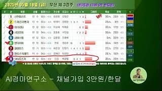 25년 5월 16일 금요경마 경마예상 전문가 AI경마연구소 우승예상마
