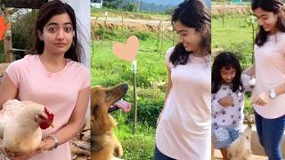 Actress Rashmika Mandanna Cutest Video | IG Telugu