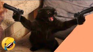 Funniest Animals  New Funny Cats and Dogs Videos  - Ep.18