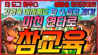 [슬롯][하이라이트]더도그하우스에서 미친연타로 제대로 참교육 했습니다!  [프라그마틱] [슬롯하이라이트] [온라인슬롯] [슬롯머신] [카지노] [강원랜드]