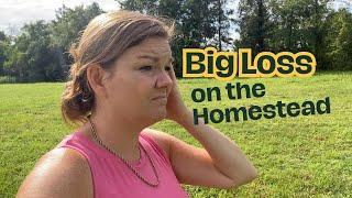 Huge Loss on the Homestead | Large Family Vlog