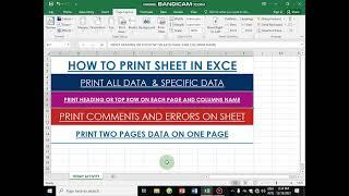 MS-Excel  print page setup and print data Tips