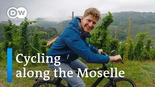 Cycling along the Moselle River | From Traben-Trarbach to Cochem | A Day at the Moselle River