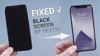 How to Fix iPhone Black Screen of Death? 3 Ways to Save Its Life!