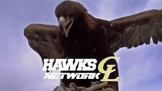 Welcome to Hawks Network - LIVE Athletics Broadcasts