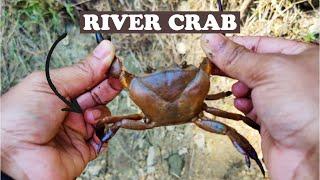 RIVER CRAB RECIPE||SPICY CRAB SEMI GRAVY||KGF STYLE CRAB CURRY