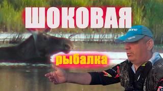 Рыбалка шоковая и это не только лось