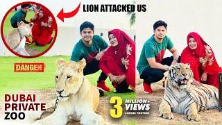 Dubai Private Zoo | Lion Attacked Us | Niloy Alamgir | Tasnuva Hridi