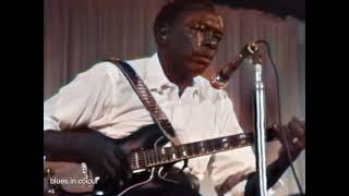 John Lee Hooker - 'Maudie' live [Colourised] 1969