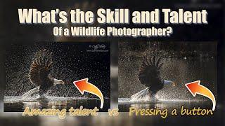 What is the SKILL and TALENT of a Wildlife Photographer