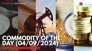 Commodity of the Day (04/09/2024) | IDX CHANNEL