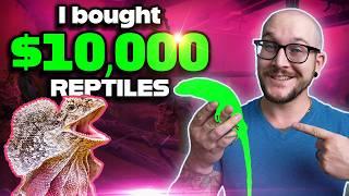 I've got over $10,000 in Reptiles... I Bet You Can't Guess Which Ones!