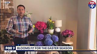 Tips for Maintaining Spring Plants | Garden Guy Dale