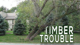 Timber Trouble | Digging Deeper | Backyard Farmer | Nebraska Public Media