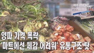 [제주MBC뉴스] 양파 가격 폭락…'마트에선 체감 어려워' 유통구조 탓 / 2022년3월23일