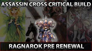 Assassin Cross Critical Build Ragnarok Pre Renewal