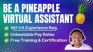 Earn as a Pineapple Virtual Assistant | Highly Rate VAs