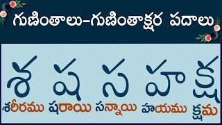 శ ష స హ క్ష గుణింత పదాలు #guninthaksharapadalu | guninthalu & Gunintha Padalu in telugu latest 2023