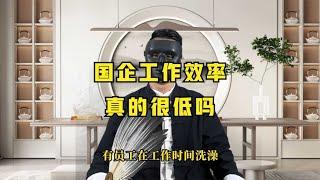 职场那些事儿EP17(第17集)：国企工作效率真的很低吗  ,职场规则,职场潜规则,职场干货,职场,职场文化,办公室文化,职场处世之道,人际交往,人性,人生感悟,处世之道,潜规则,人生智慧