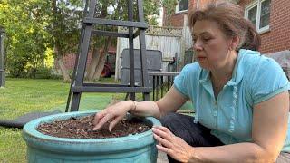 Winterizing Large Terracotta Pots, so they don't break