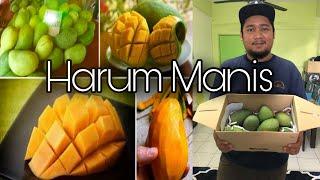 Jus buah bangsawan | Harum Manis | GoPro Hero8