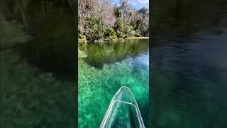 When everywhere you turn has a breathtaking view  #RainbowSprings #GetUpAndGoKayaking